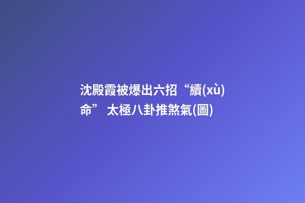 沈殿霞被爆出六招“續(xù)命” 太極八卦推煞氣(圖)